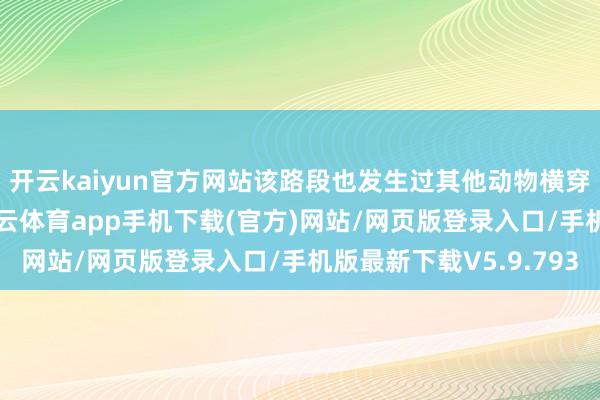 开云kaiyun官方网站该路段也发生过其他动物横穿公路被撞的情况-kai云体育app手机下载(官方)网站/网页版登录入口/手机版最新下载V5.9.793